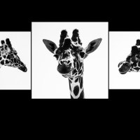 2nd Jan Lee - Giraffe Trio