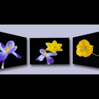 3rd Dave Venables - Spring is in the air