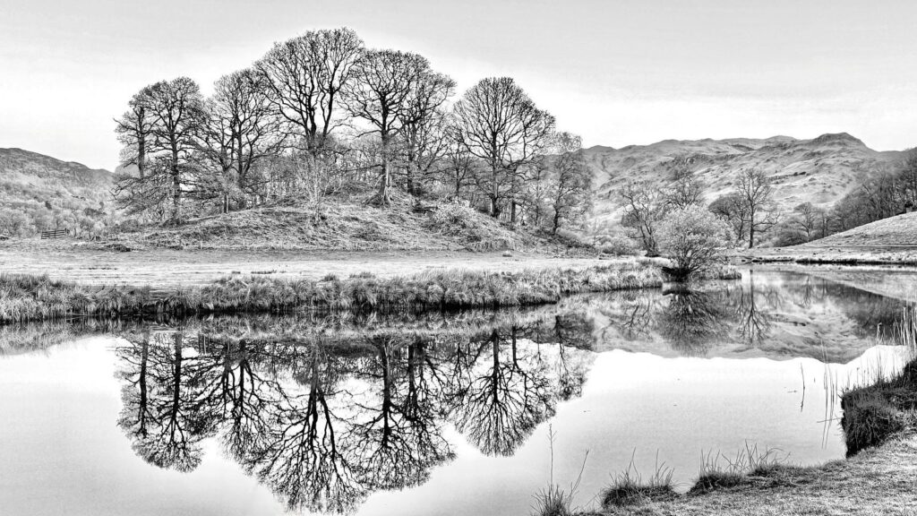 Angela Reid - Loughrigg Tarn